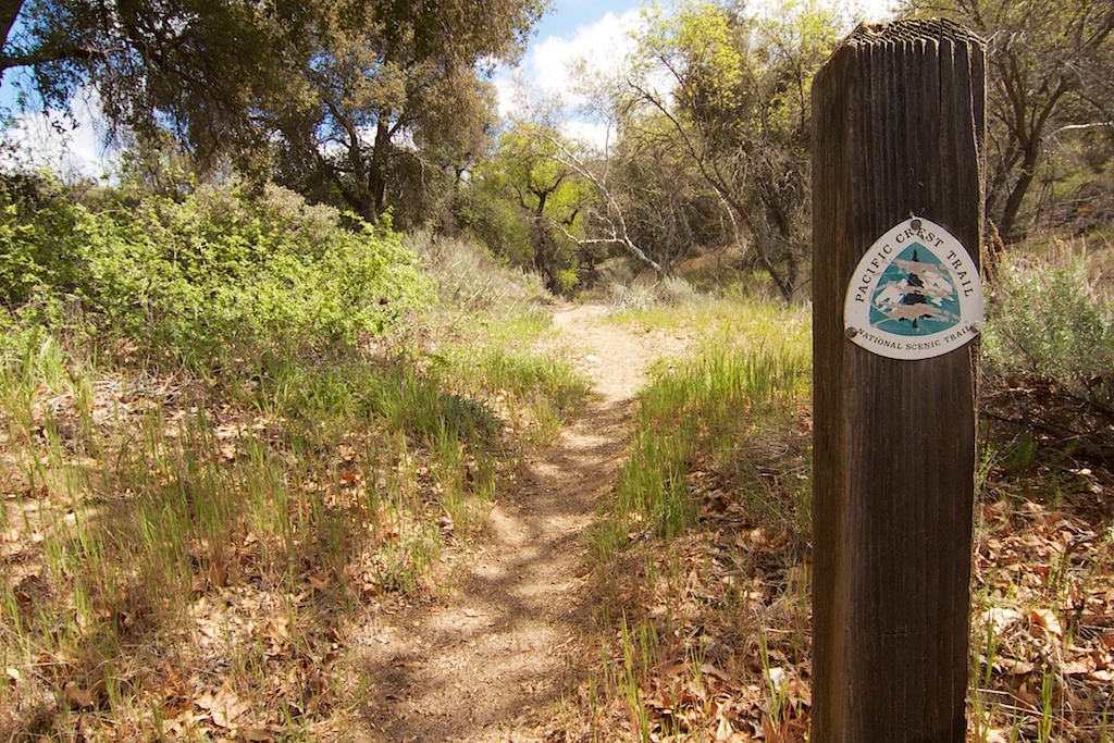 Pacific Crest Trail in San Diego County