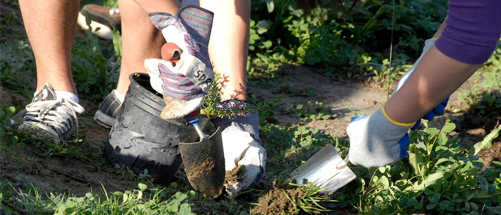 Volunteers Helping Restore the San Dieguito River Park