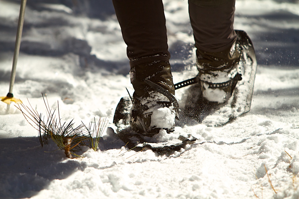 Snow Shoe Shuffle